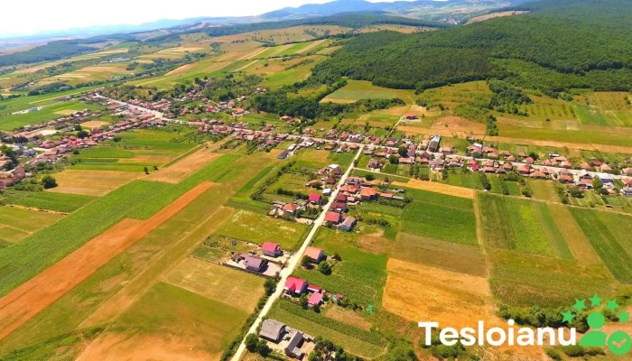 Românași - Românași