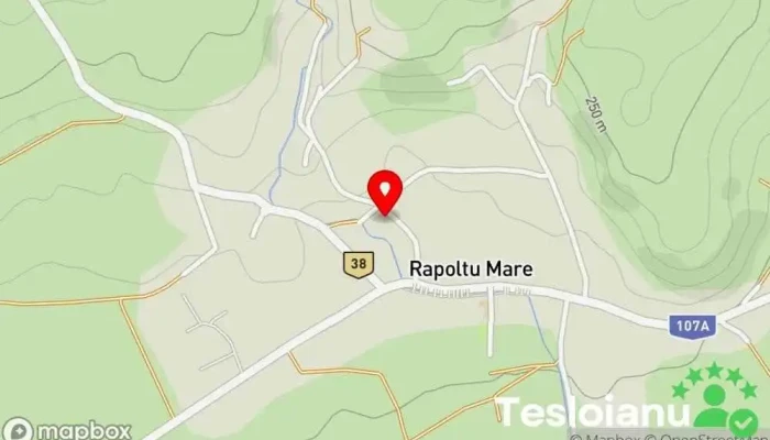 hartă a ROMAUST SRL Sediul social în Rapoltu Mare