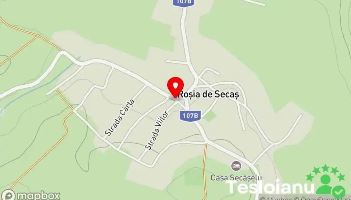 hartă a Roșia de Secaș  în Roșia de Secaș