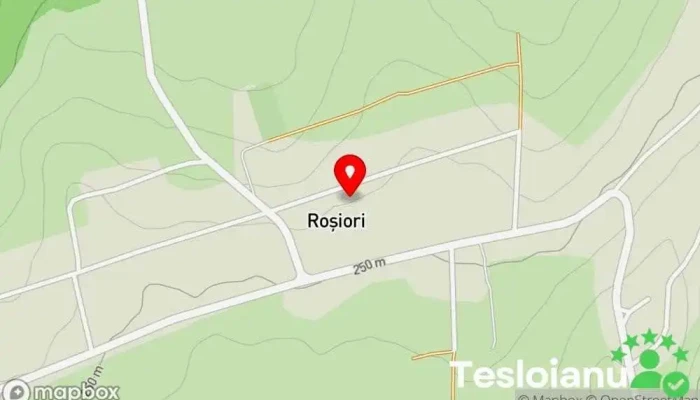 hartă a Roșiori  în Roșiori
