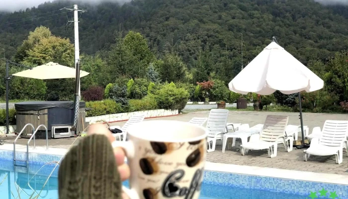 Roua Muntelui -  De La Vizitatori - Baia De Arieș