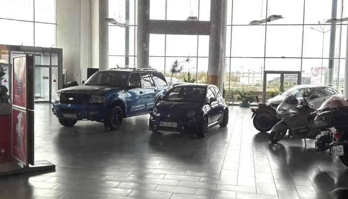 Royal Motors - Bradu