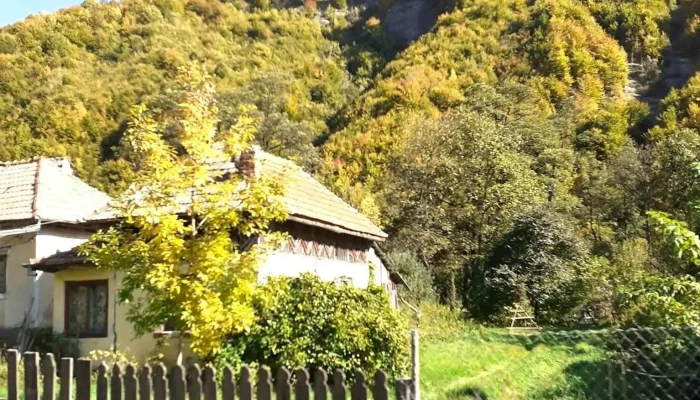 Rucar Număr - Rucăr