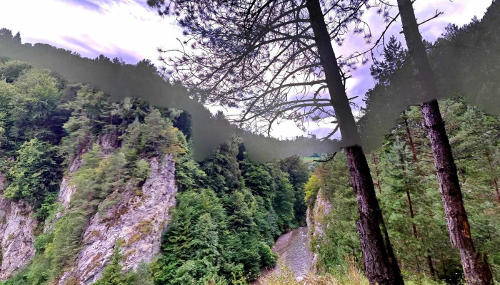 Rucar Street View Si 360deg - Rucăr