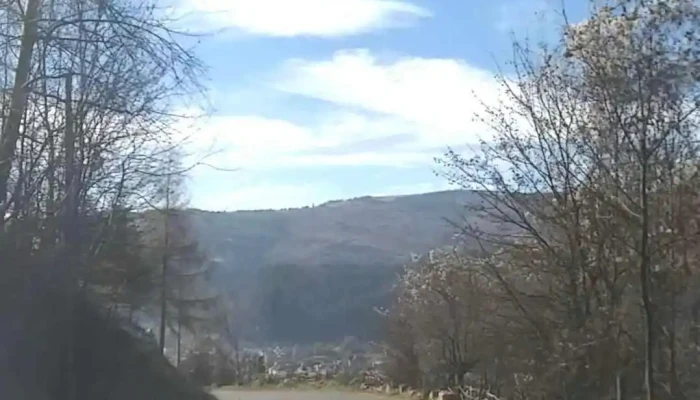 Rucar Videoclipuri - Rucăr