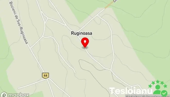 hartă a Ruginoasa  în Ruginoasa