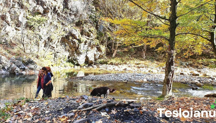 Runcu -  Deschis Acum - Runcu