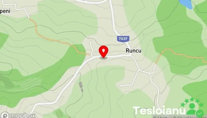 hartă a Runcu  în Runcu