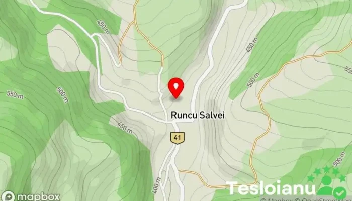 hartă a Runcu Salvei  în Runcu Salvei