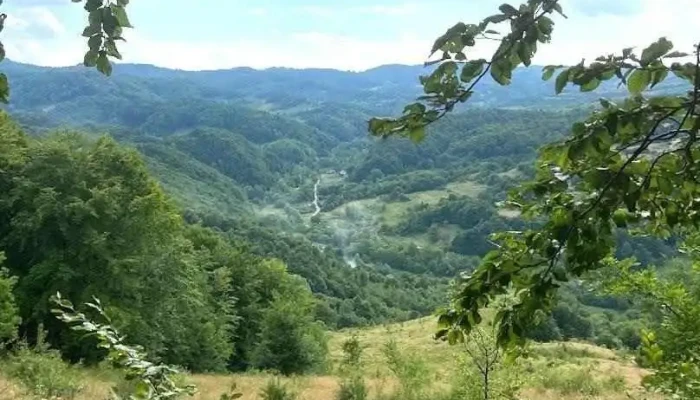 Rus - Rus