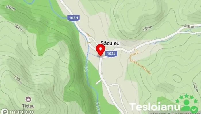 hartă a Săcuieu  în Săcuieu