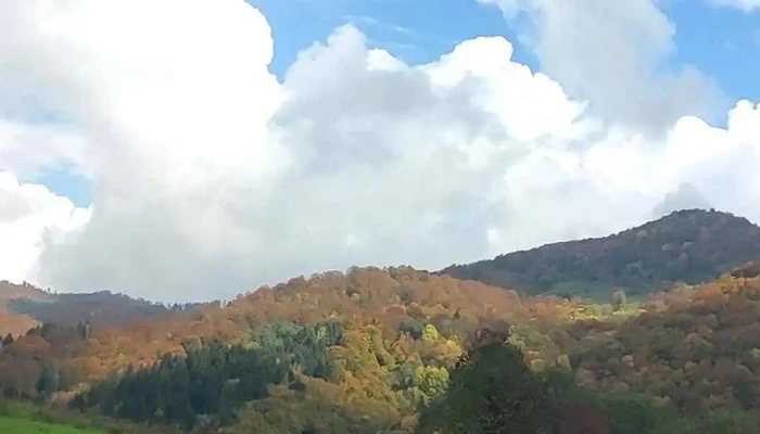Sacuieu Videoclipuri - Săcuieu