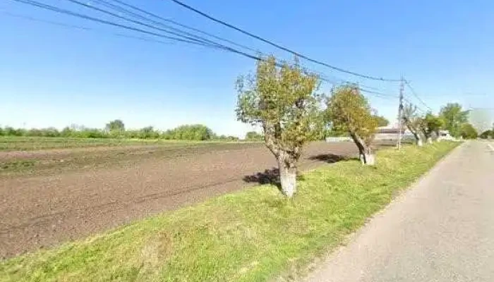 Sadok Cris Srl Street View Si 360deg - Negostina