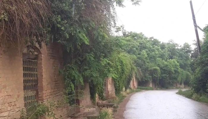 Salacea Fotografii - Sălacea