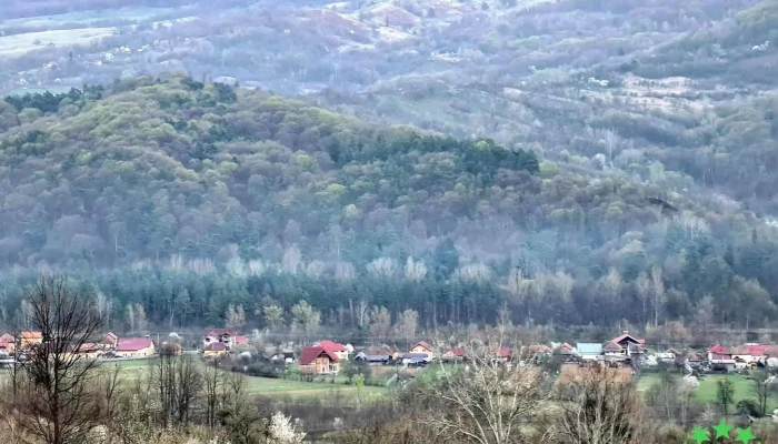 Salatrucel Munte - Sălătrucel