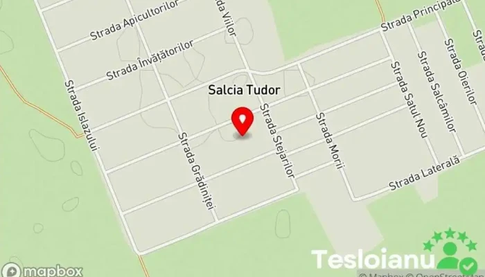 hartă a Salcia Tudor  în Salcia Tudor