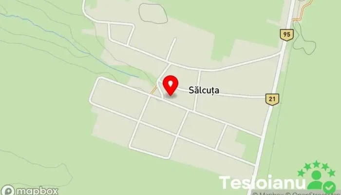 hartă a Sălcuţa  în Sălcuţa