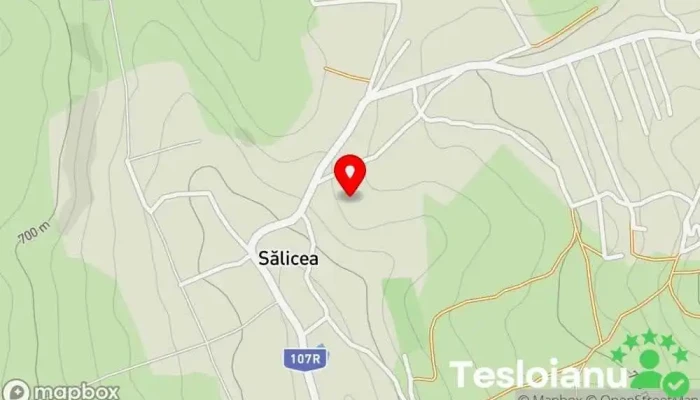 hartă a Sălicea  în Sălicea