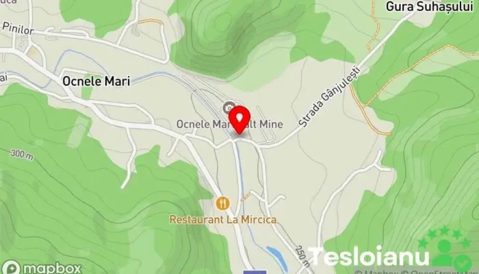 hartă a Salina Ocnele Mari Atracție turistică, Mină în Str. Pinilor, nr. 27 bis, loc. Ocnele Mari, jud. Valcea, CP