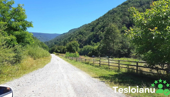 Saliste De Vascau Unde - Sălişte De Vaşcău