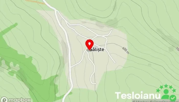 hartă a Săliște  în Săliște