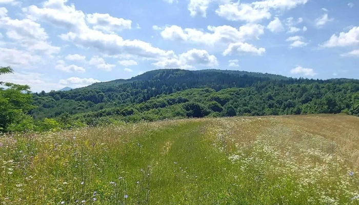 Salistea De Sus Deschis Acum - Săliștea De Sus