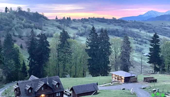 Salistea De Sus Munte - Săliștea De Sus
