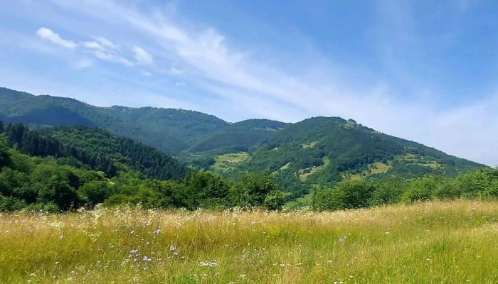 Salistea De Sus Săliștea De Sus - - Săliștea De Sus