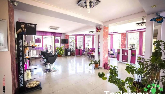 Salon Fuxia - Baia De Fier