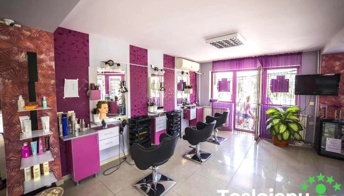 Salon Fuxia -  Interior - Baia De Fier