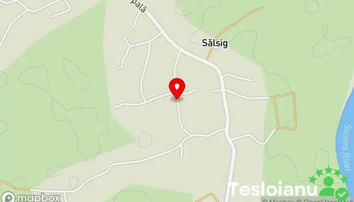 hartă a Sălsig  în Sălsig