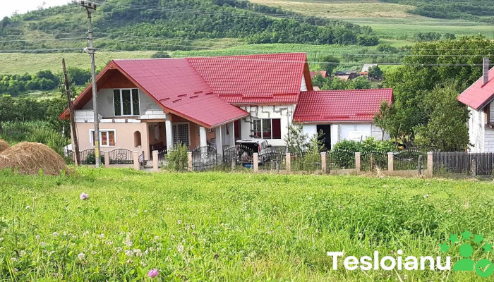Sangeru De Padure Adresă - Sângeru De Pădure