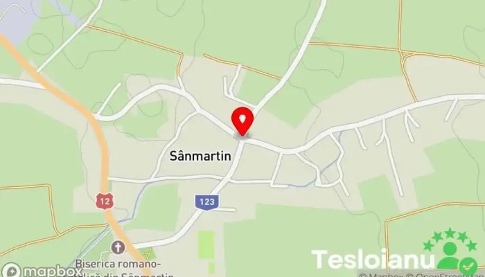 hartă a Sânmartin  în Sânmartin