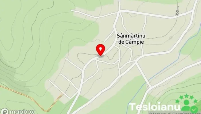 hartă a Sânmărtinu de Câmpie  în Sânmărtinu de Câmpie