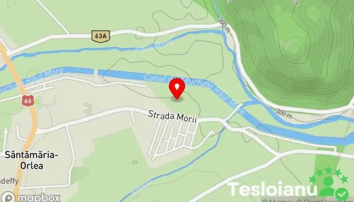 hartă a Sântămărie Orlea Furnizor de lemne de foc în Sântămăria Orlea