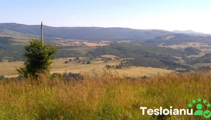 Sapanta Maramures De La Proprietar - Săpânța