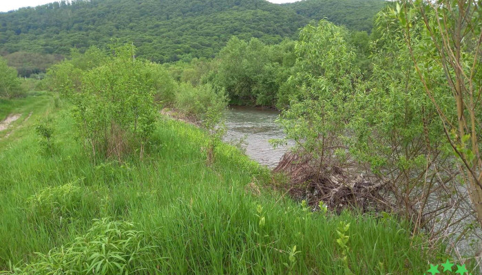 Sarata Deschis Acum - Sărata