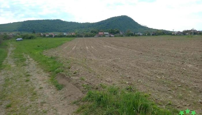 Sarata Munte - Sărata