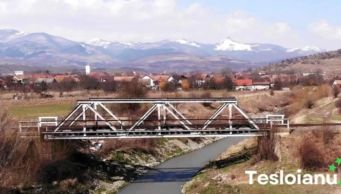 Sard Munte - Șard