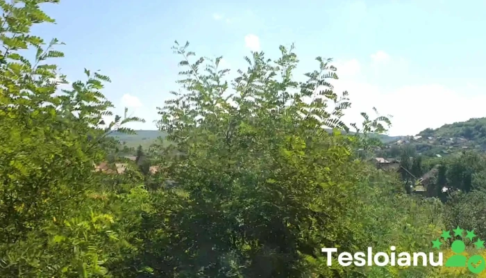 Saros Pe Tarnave Videoclipuri - Şaroş Pe Târnave