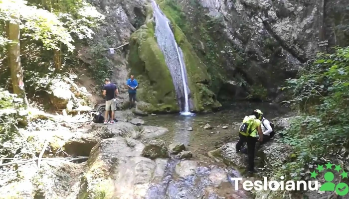 Sasca Montana Videoclipuri - Sasca Montană