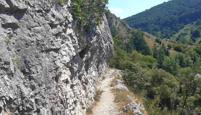 Sasca Romana Munte - Sasca Română