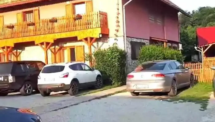 Sasca Romana Videoclipuri - Sasca Română