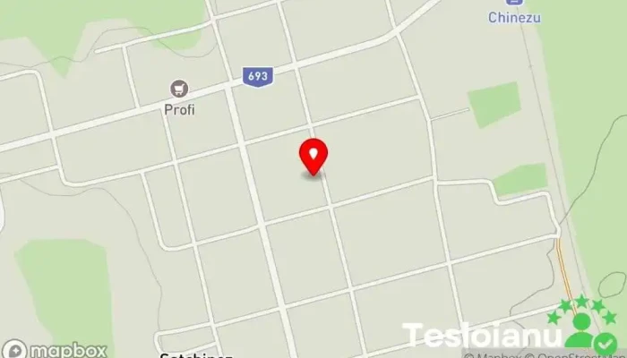 hartă a Satchinez  în Satchinez