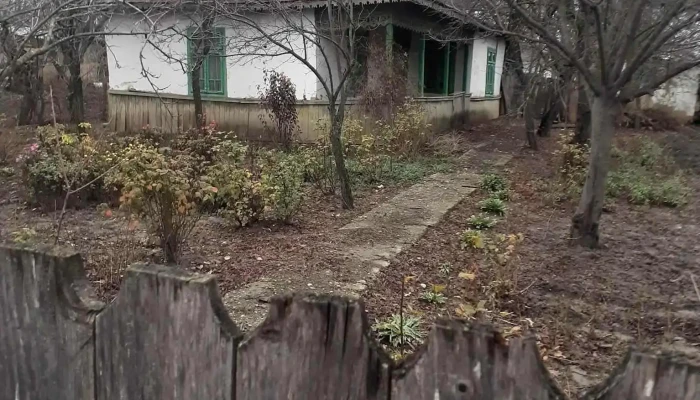 Satu Nou -  Adresă - Satu Nou