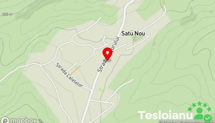 hartă a Satu Nou  în Satu Nou