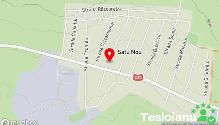 hartă a Satu Nou  în Satu Nou