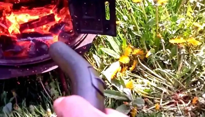 Saucesti Videoclipuri - Săucești