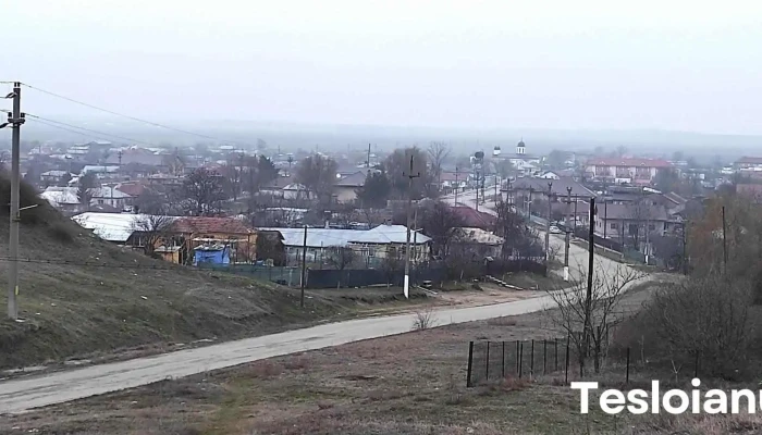 Saveni Program - Săveni