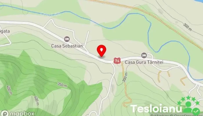 hartă a SC CRISBUS SA BRAD Service auto în Brad